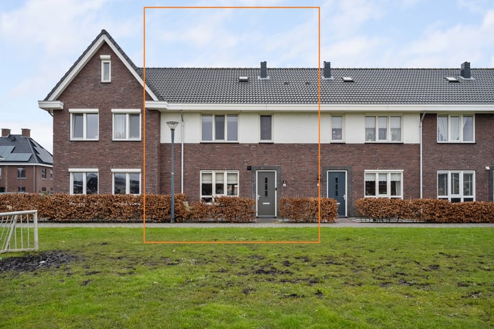Bloesem 3 in Nieuw-Beijerland foto