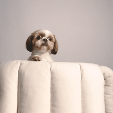 Foto van Bobbie Trossèl