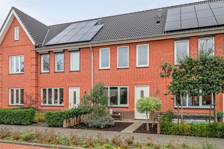 Boeier 5 in Dinteloord foto