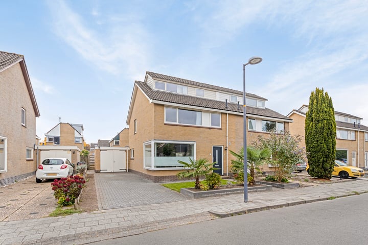 Boeier 81 in Heerenveen foto