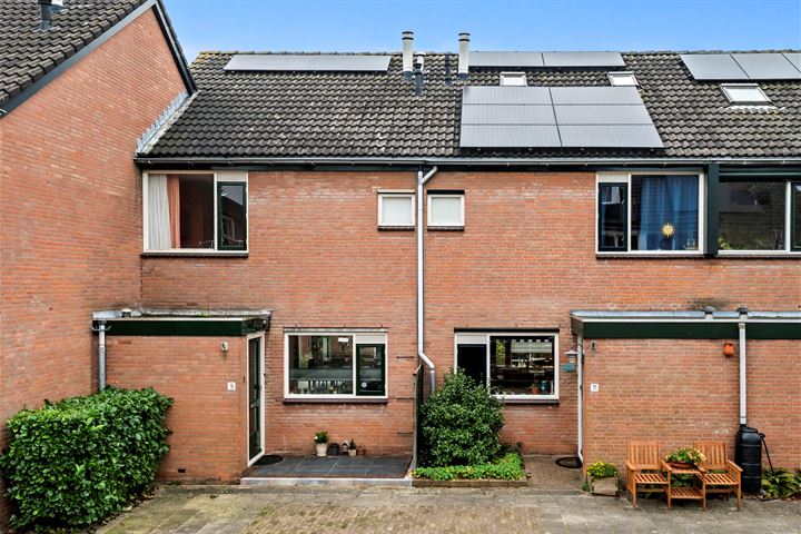 Boeier 9 in Schipluiden foto