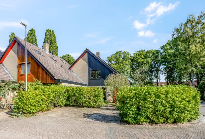 Boekweitakker 2 in Doorn foto