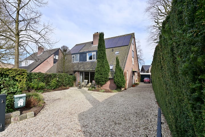 Boekweitskorrel 7 in Laren foto