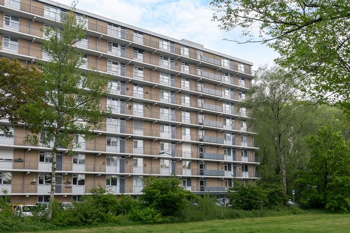 Boerhaavelaan 135 in Oosterhout foto