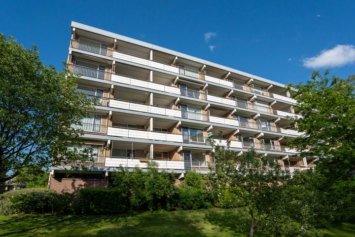 Boerhaavelaan 171 in Leiden