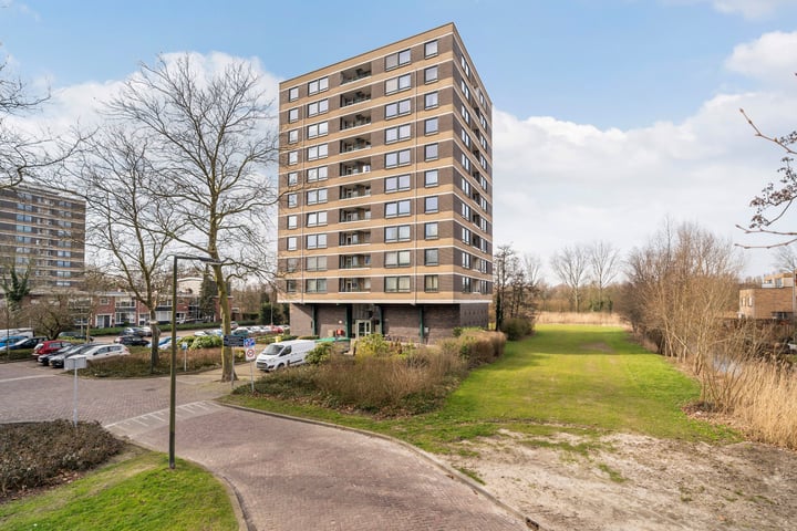 Boerhaavestraat 433 in Vlaardingen foto
