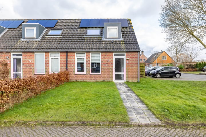 Boerhoorn 11 in Vries foto