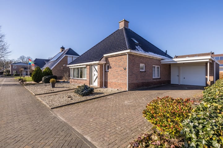 Boerhoorn 5 in Vlagtwedde foto