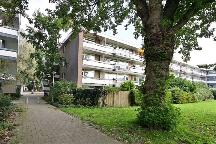 Bolestein 740 in Amsterdam foto