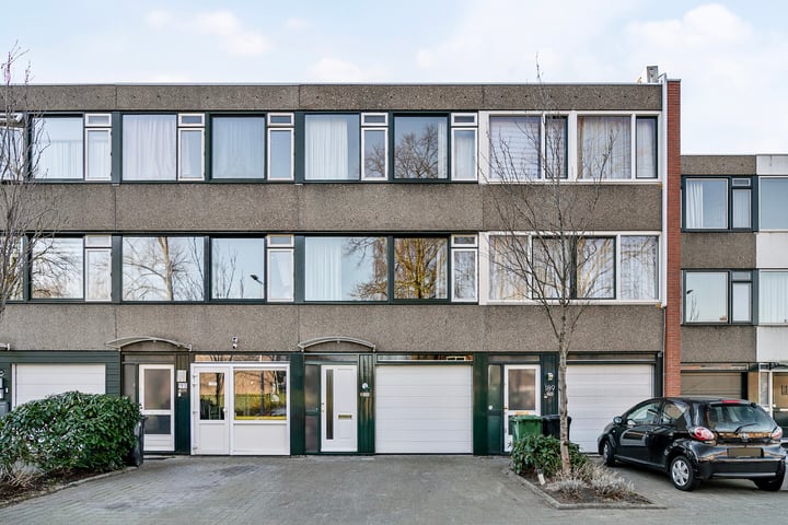 Bolkruid 191 in Rotterdam foto