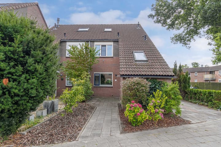 Bolster 25 in Heerenveen foto