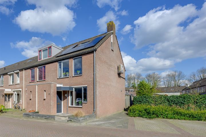 Bongelakker 48 in Rijen foto