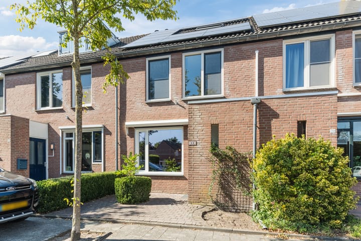 Bongelakker 80 in Rijen