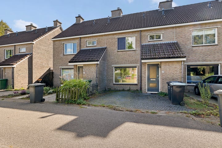 Bonte Kraai 24 in Emmen foto