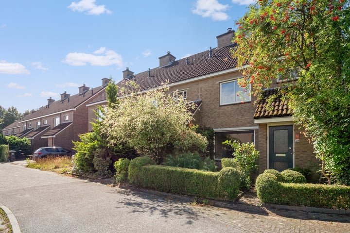Bonte Kraai 28 in Emmen foto