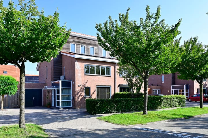 Bonte Specht 12 in Zeewolde foto