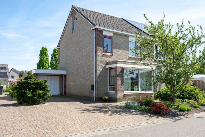 Bonte Specht 35 in Emmen foto