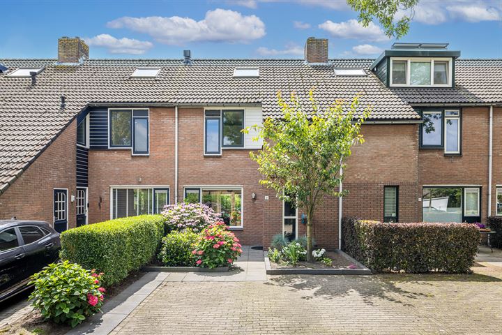 Boomklever 16 in Maartensdijk foto