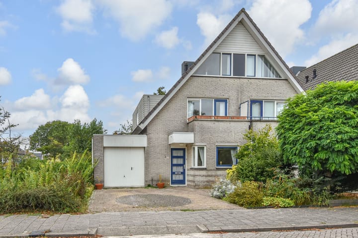 Boomkwekerij 1 in Den Hoorn foto