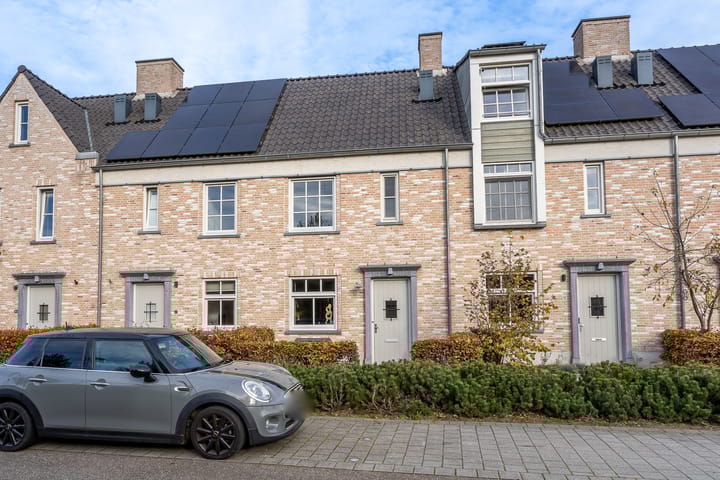 Boommarter 14 in Dorst foto