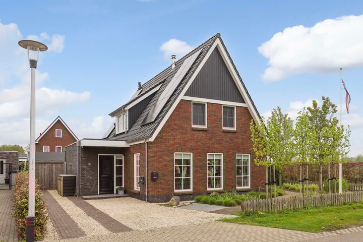Boommarter 59 in Apeldoorn foto