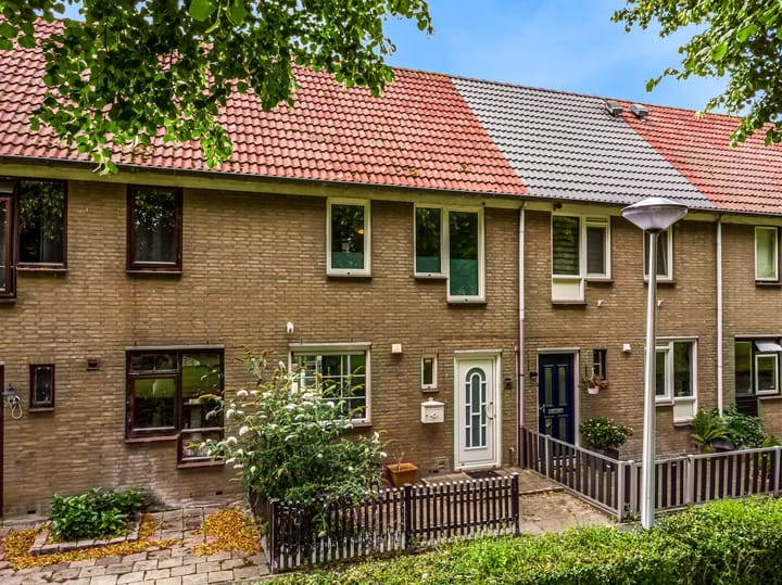 Foto van woning Borstelgras 58, Spijkenisse