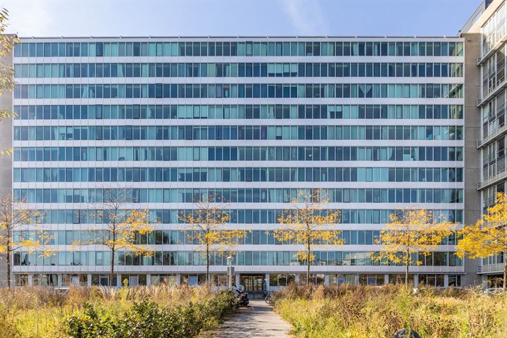 Bos en Lommerplantsoen 101D in Amsterdam foto