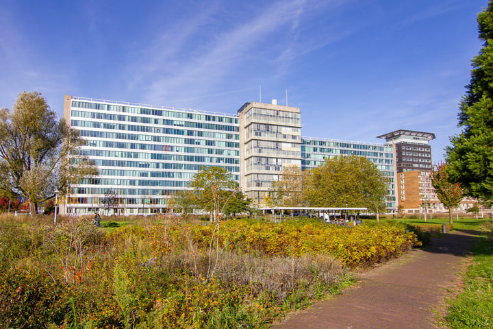 Bos en Lommerplantsoen 97K in Amsterdam foto