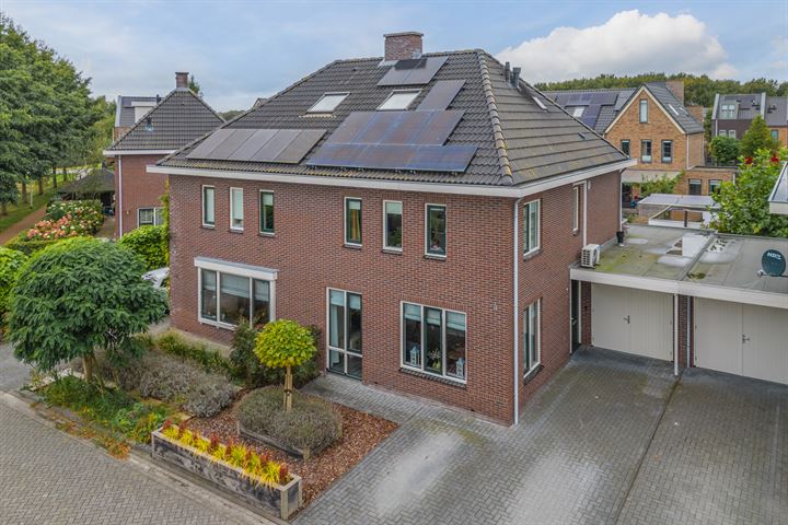 Bosanemoon 57 in Assen foto