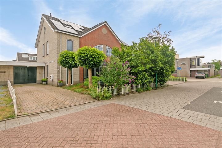 Bosbes 4 in Veenendaal foto