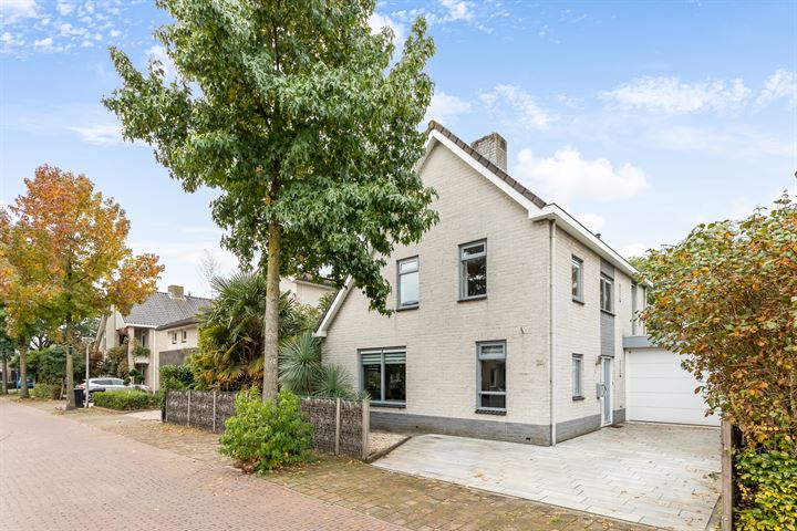 Bosbies 24 in Terheijden foto