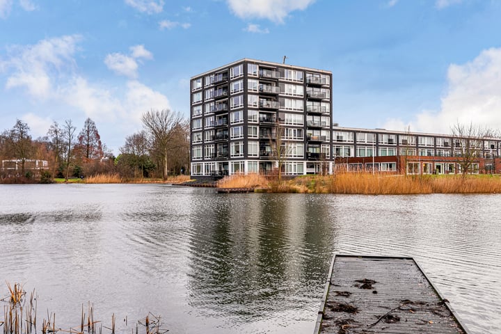 Bosboompad 25 in Rosmalen foto