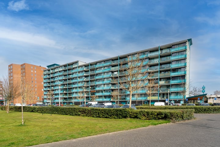 Bosdreef 2 in Leiderdorp foto