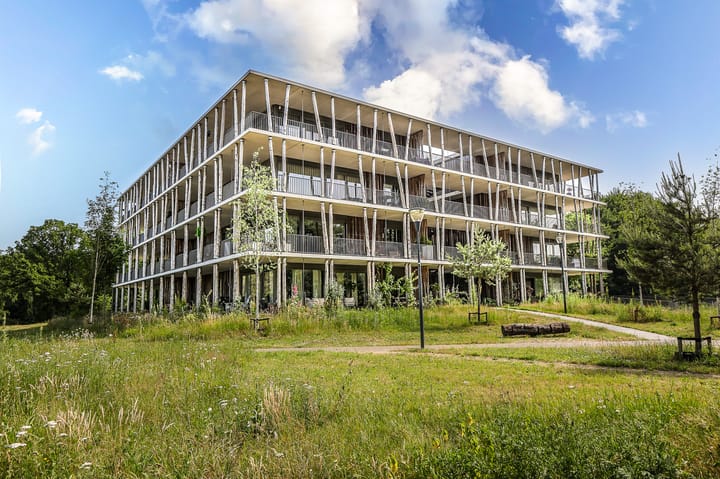 Bosgors 2 in Eindhoven foto