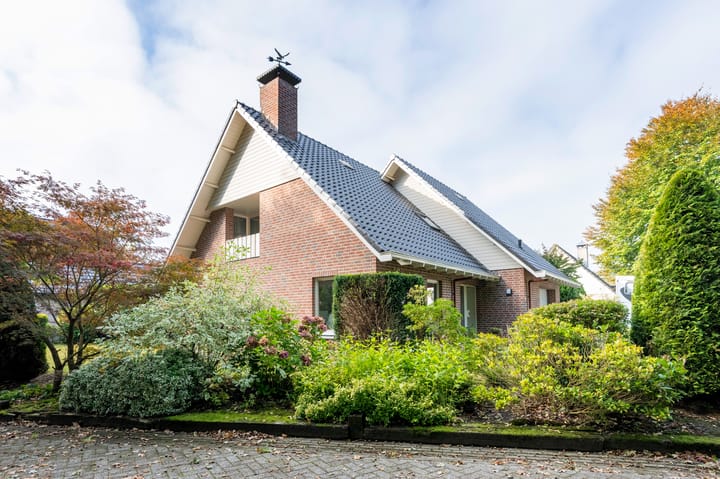 Bosgors 2 in Emmen