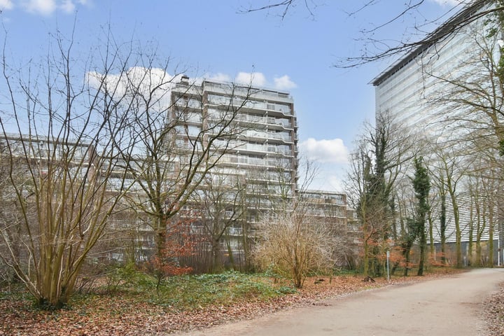 Boslaan 203 in 's-Gravenhage foto