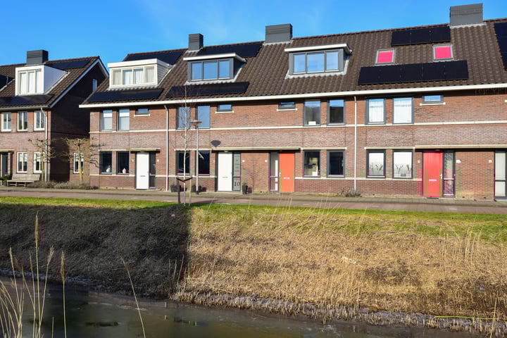 Bosmuis 8 in Uithoorn foto