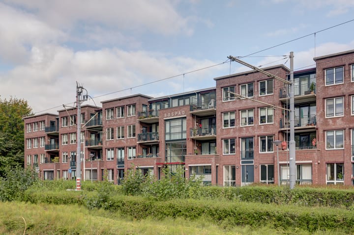 Bospad 75 in Schiedam foto