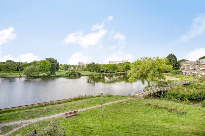 Bosplaat 65 in Zwolle foto