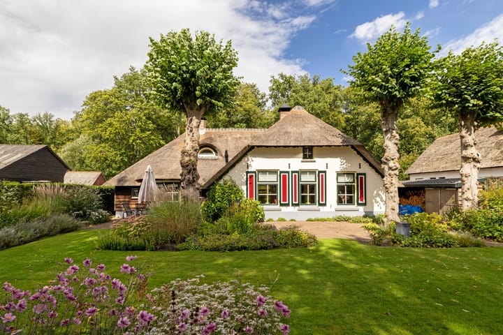 Bosrand 107 in Elspeet foto