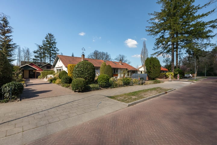 Bosrand 112 in Putten foto