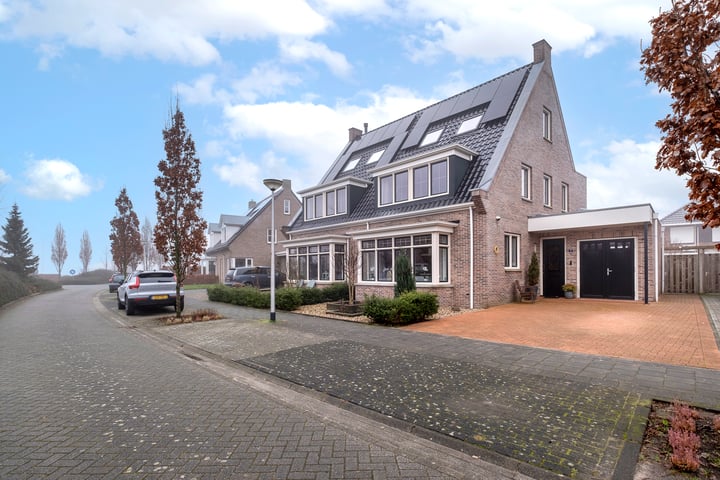 Bosrank 7 in Assen foto