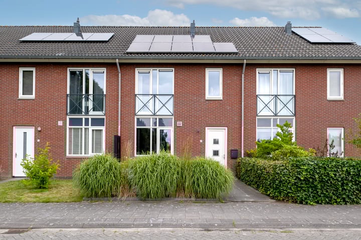 Bostulp 4 in Assen foto