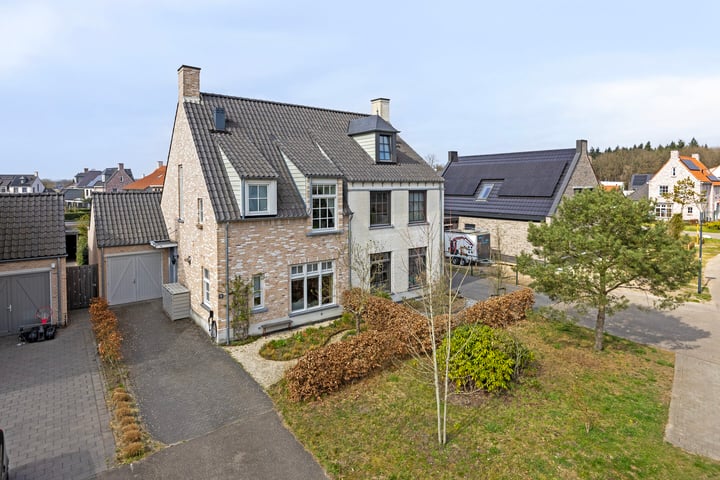Bosuil 9 in Dorst foto
