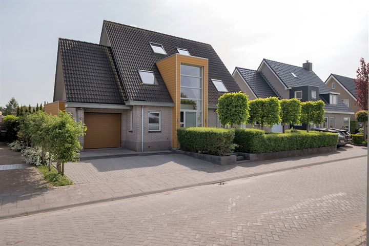 Bosvaren 8 in Assen foto