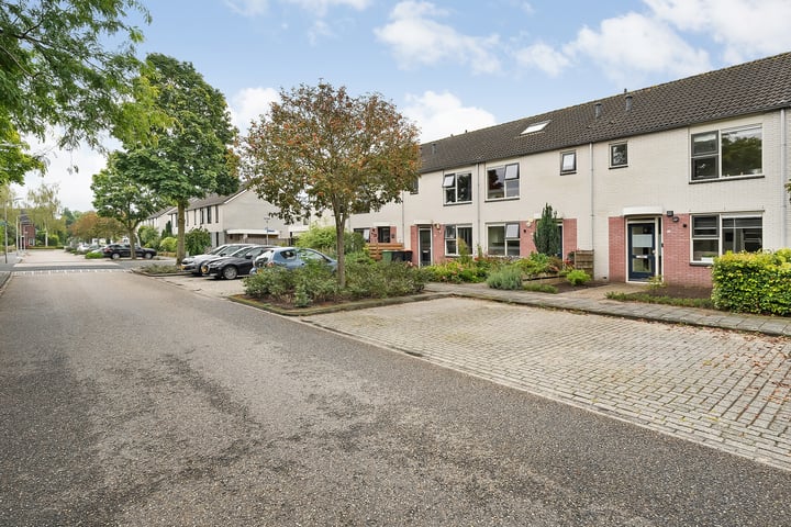 Boterbloem 14 in Hardenberg foto