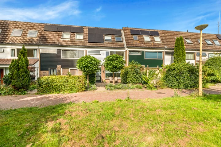 Boterbloem 20 in Castricum foto