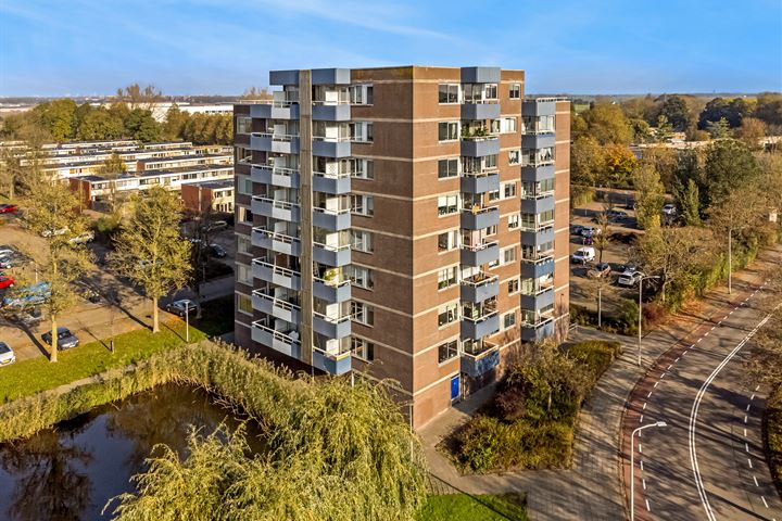 Boterbloem 24 in Uithoorn foto