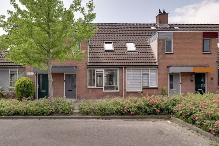 Boterbloem 27 in Zwaag