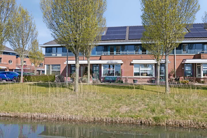 Boterbloem 3 in Heerjansdam foto